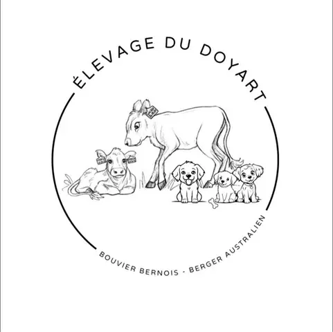 Logo de l'Élevage du Doyart, éleveur de Bouviers Bernois et de Bergers Australiens à Theux